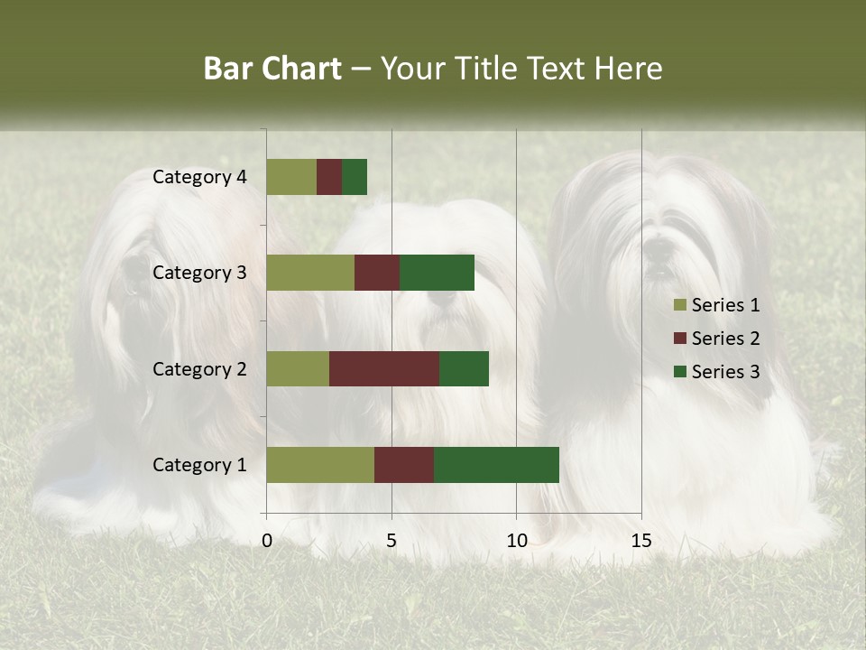 A Group Of Three Dogs Sitting On Top Of A Lush Green Field PowerPoint Template