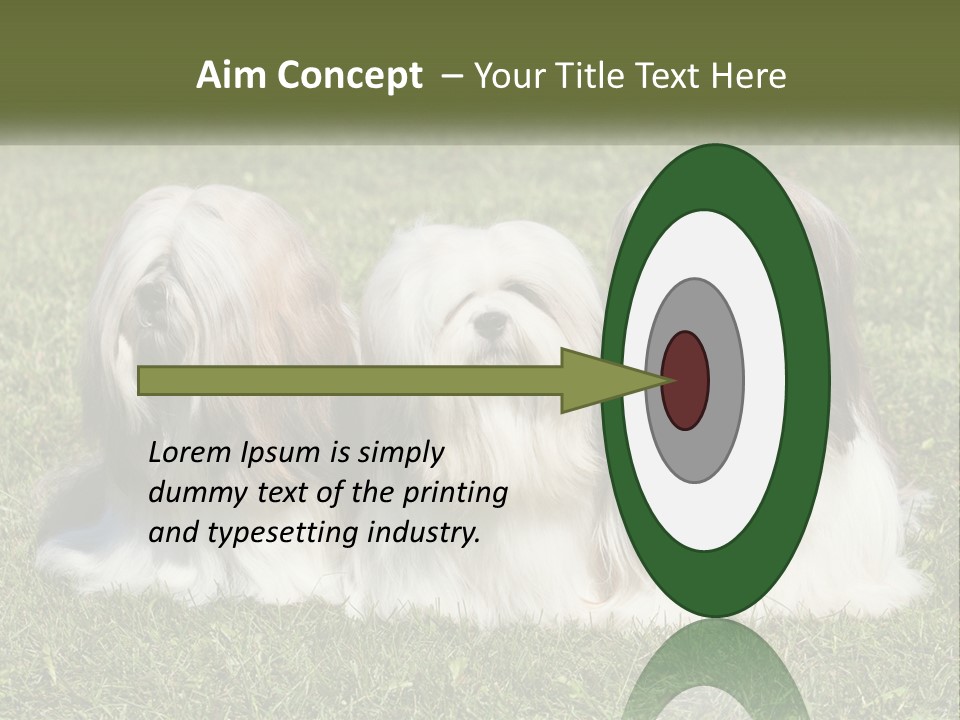 A Group Of Three Dogs Sitting On Top Of A Lush Green Field PowerPoint Template