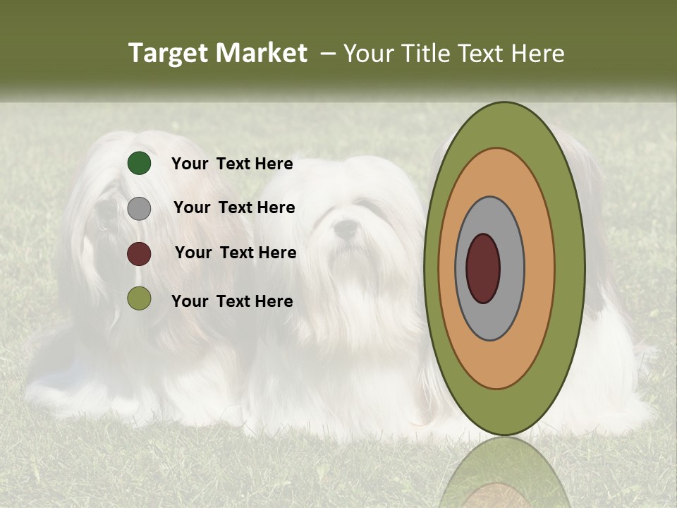 A Group Of Three Dogs Sitting On Top Of A Lush Green Field PowerPoint Template