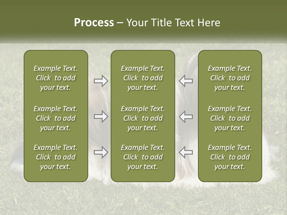 A Group Of Three Dogs Sitting On Top Of A Lush Green Field PowerPoint Template