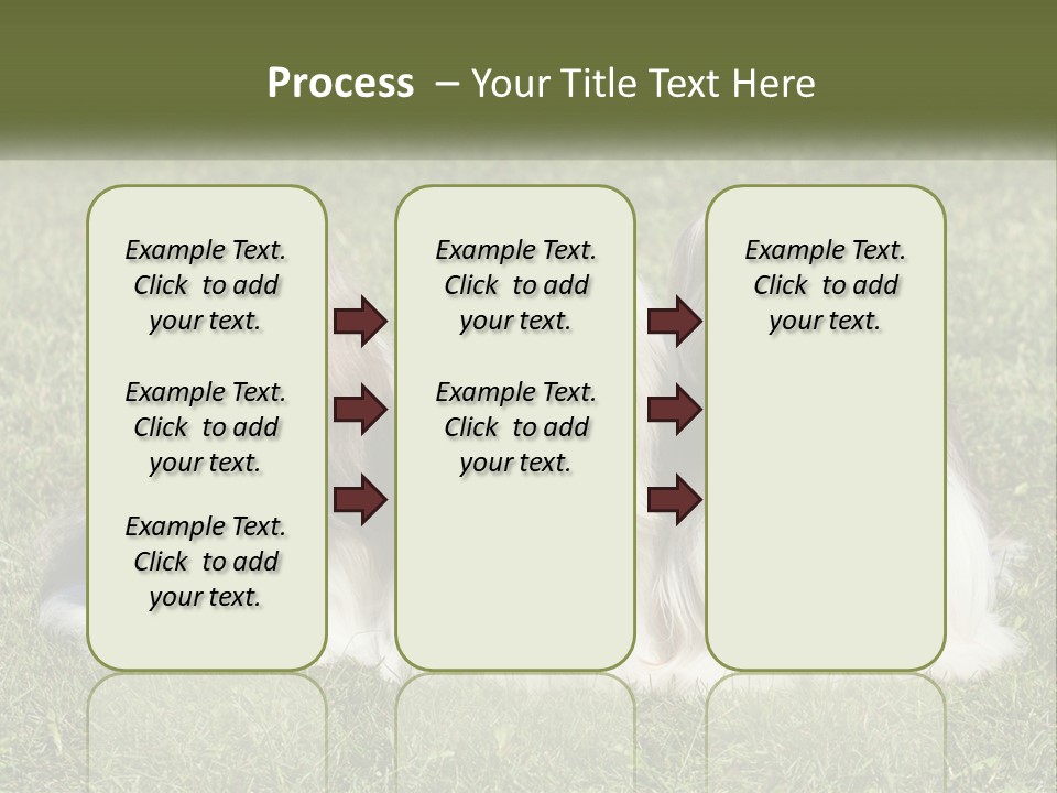 A Group Of Three Dogs Sitting On Top Of A Lush Green Field PowerPoint Template
