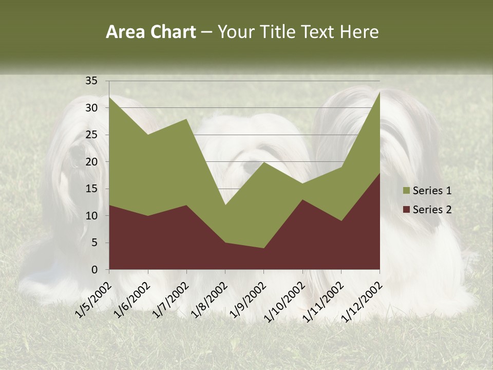 A Group Of Three Dogs Sitting On Top Of A Lush Green Field PowerPoint Template