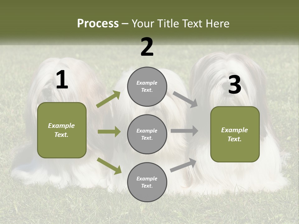 A Group Of Three Dogs Sitting On Top Of A Lush Green Field PowerPoint Template
