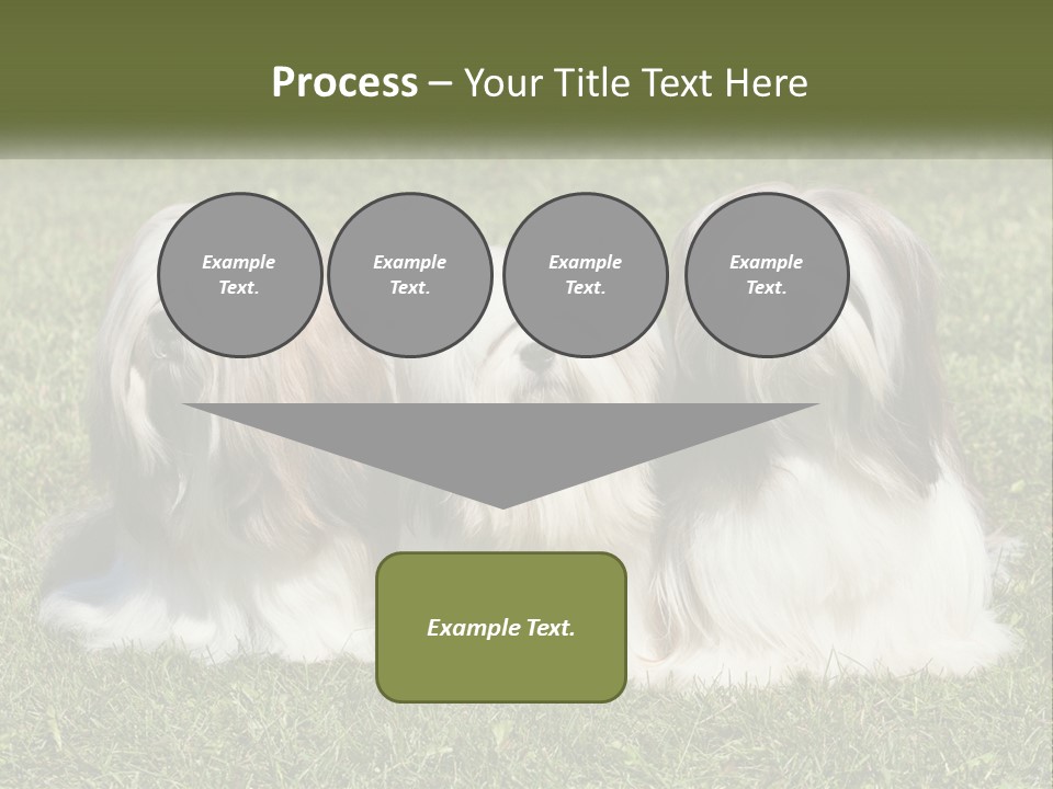 A Group Of Three Dogs Sitting On Top Of A Lush Green Field PowerPoint Template