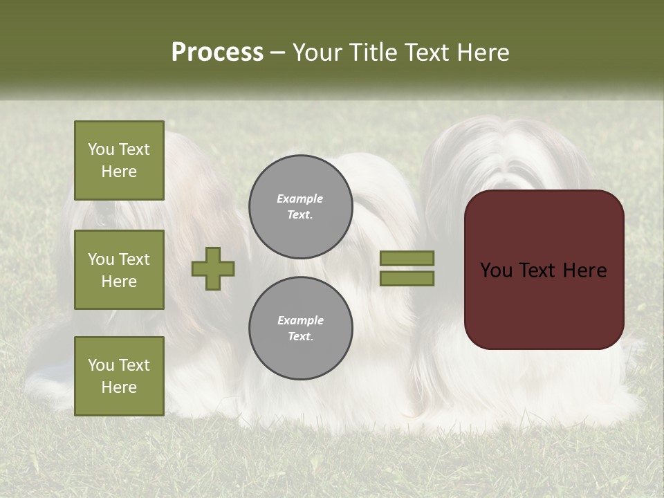 A Group Of Three Dogs Sitting On Top Of A Lush Green Field PowerPoint Template