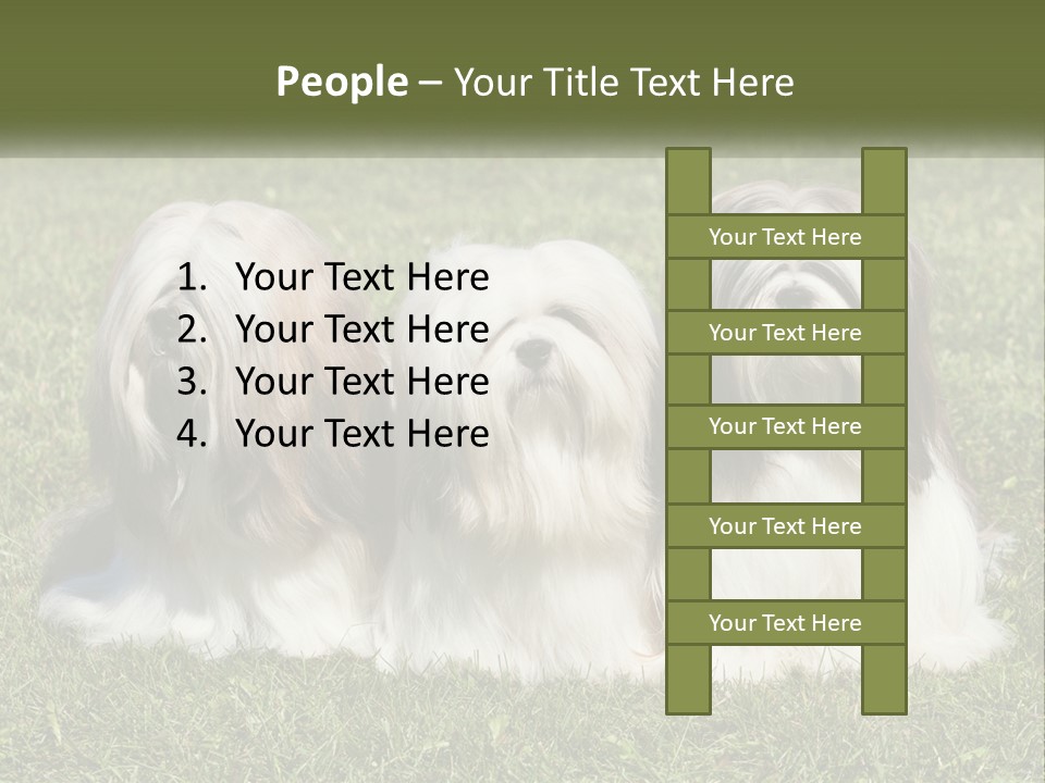 A Group Of Three Dogs Sitting On Top Of A Lush Green Field PowerPoint Template