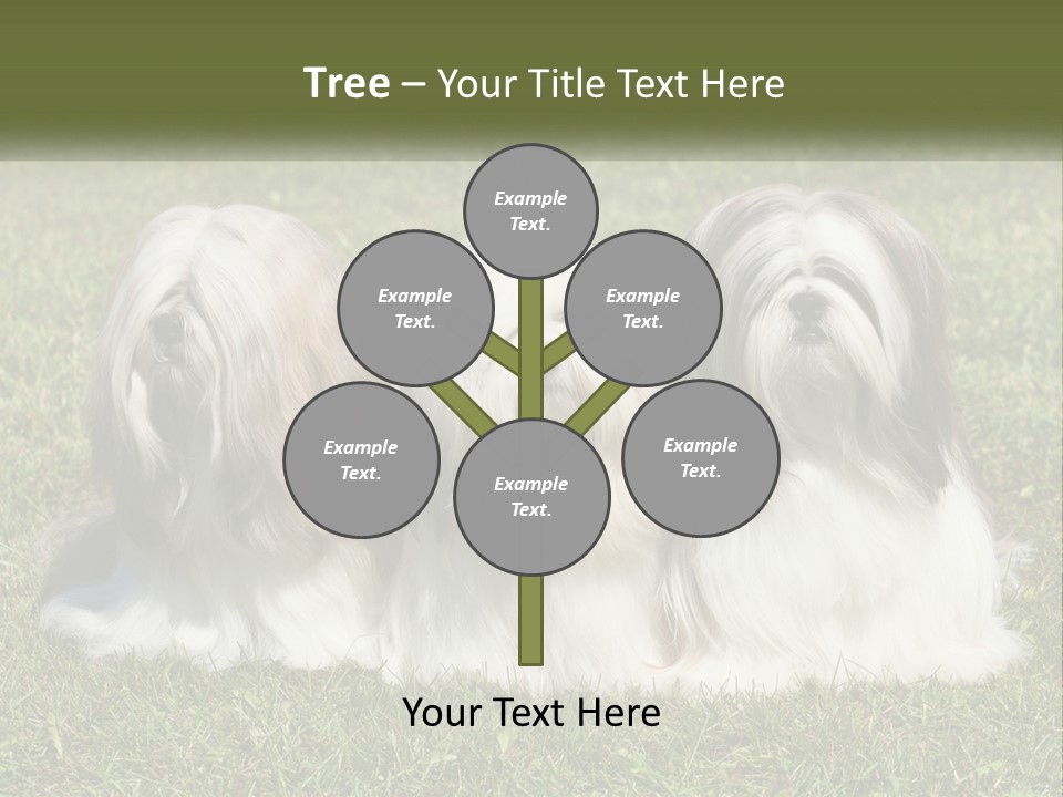 A Group Of Three Dogs Sitting On Top Of A Lush Green Field PowerPoint Template