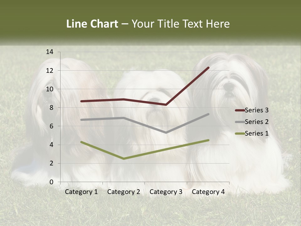 A Group Of Three Dogs Sitting On Top Of A Lush Green Field PowerPoint Template