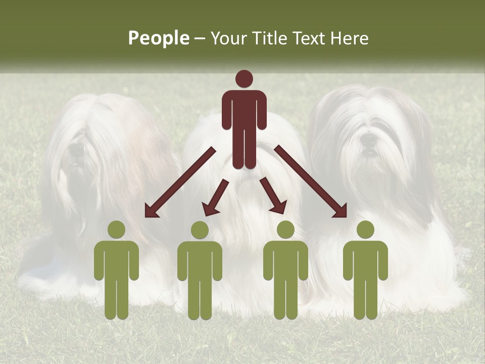 A Group Of Three Dogs Sitting On Top Of A Lush Green Field PowerPoint Template