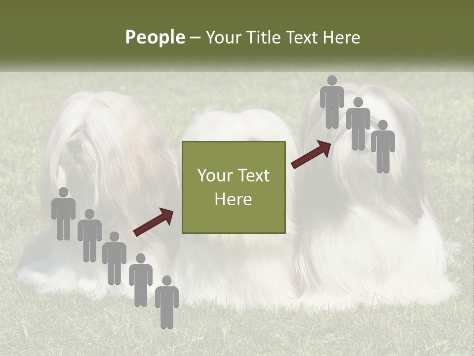 A Group Of Three Dogs Sitting On Top Of A Lush Green Field PowerPoint Template
