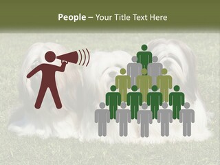 A Group Of Three Dogs Sitting On Top Of A Lush Green Field PowerPoint Template