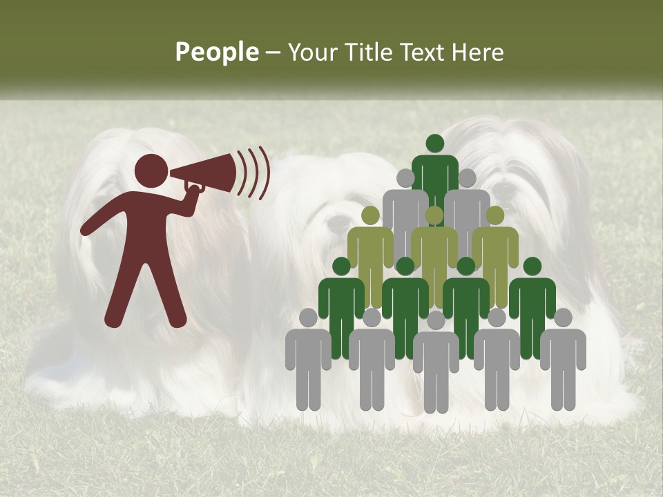 A Group Of Three Dogs Sitting On Top Of A Lush Green Field PowerPoint Template