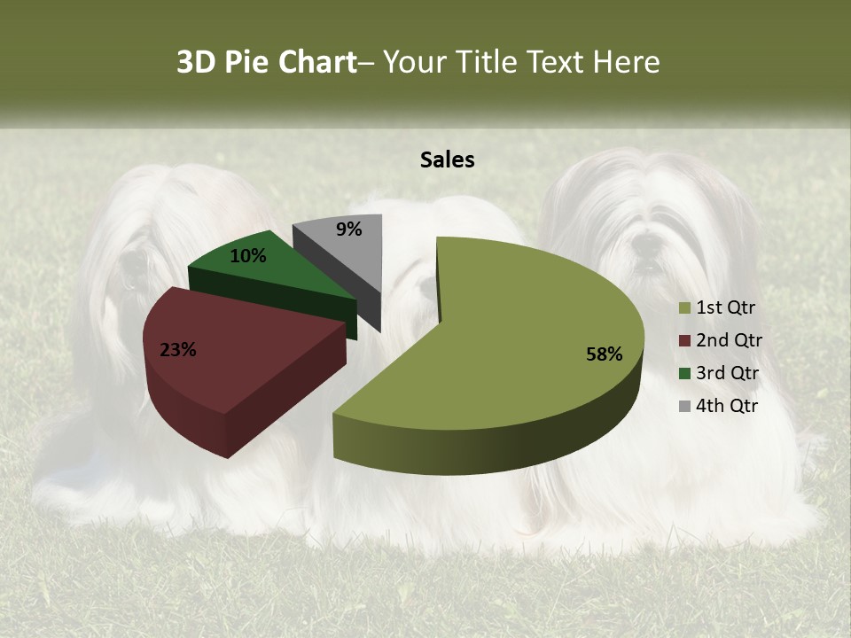 A Group Of Three Dogs Sitting On Top Of A Lush Green Field PowerPoint Template