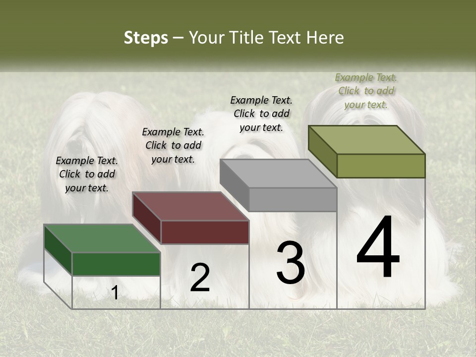 A Group Of Three Dogs Sitting On Top Of A Lush Green Field PowerPoint Template