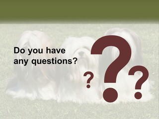 A Group Of Three Dogs Sitting On Top Of A Lush Green Field PowerPoint Template