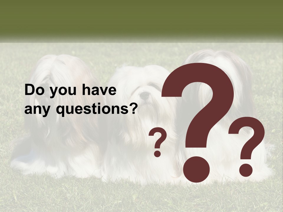A Group Of Three Dogs Sitting On Top Of A Lush Green Field PowerPoint Template
