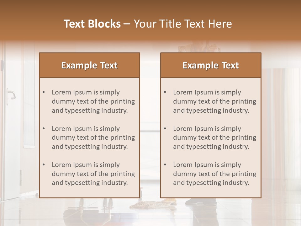 A Woman Cleaning The Floor With A Mop PowerPoint Template