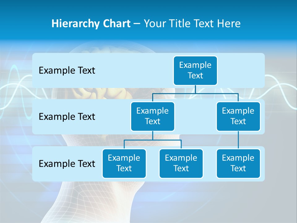 A Man's Head With A Brain In The Middle Of It PowerPoint Template
