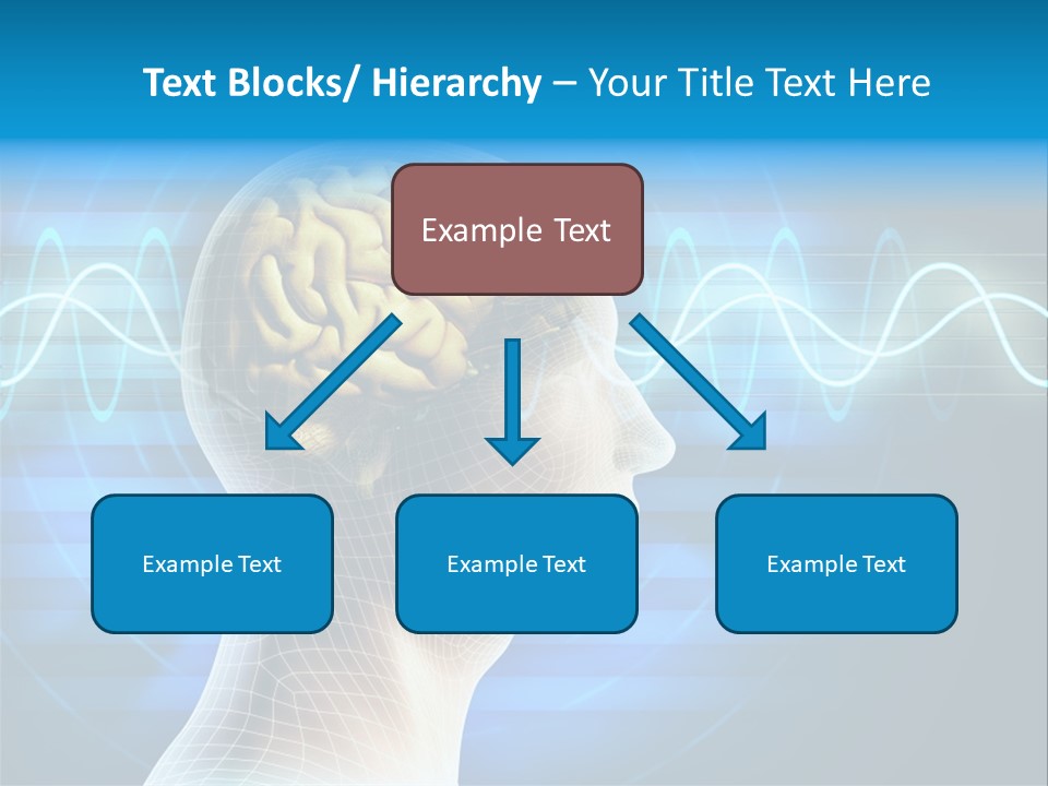 A Man's Head With A Brain In The Middle Of It PowerPoint Template