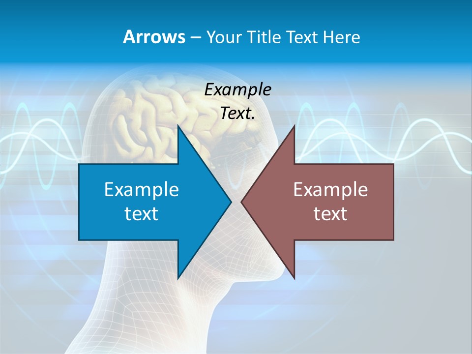 A Man's Head With A Brain In The Middle Of It PowerPoint Template