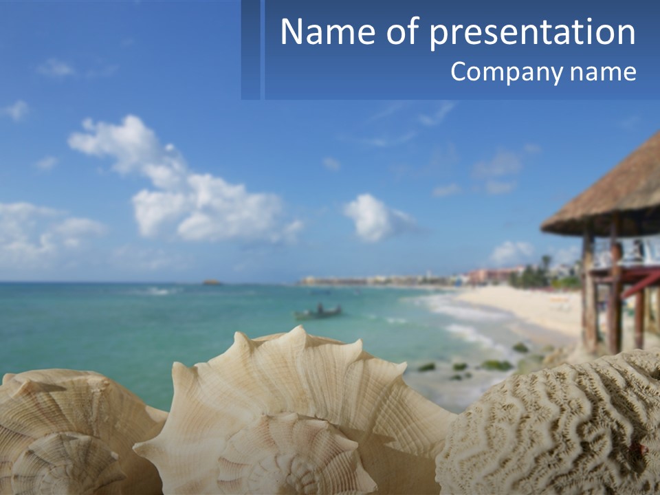 A Group Of Seashells Sitting On A Beach Next To The Ocean PowerPoint Template
