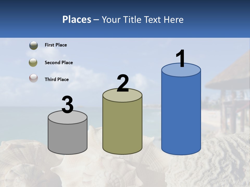 A Group Of Seashells Sitting On A Beach Next To The Ocean PowerPoint Template