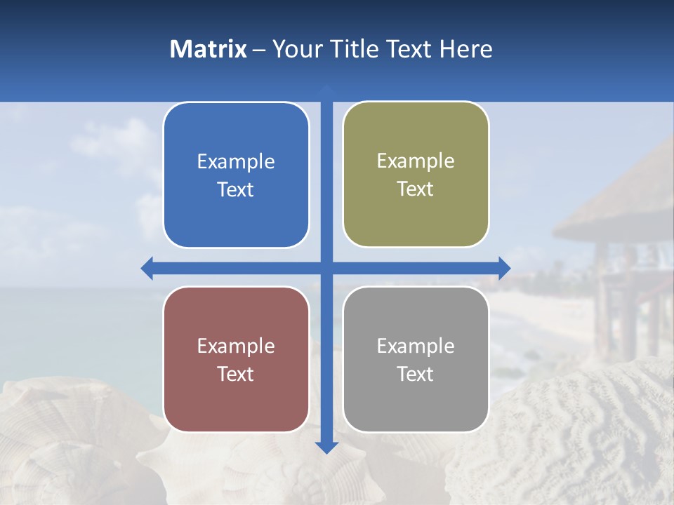 A Group Of Seashells Sitting On A Beach Next To The Ocean PowerPoint Template