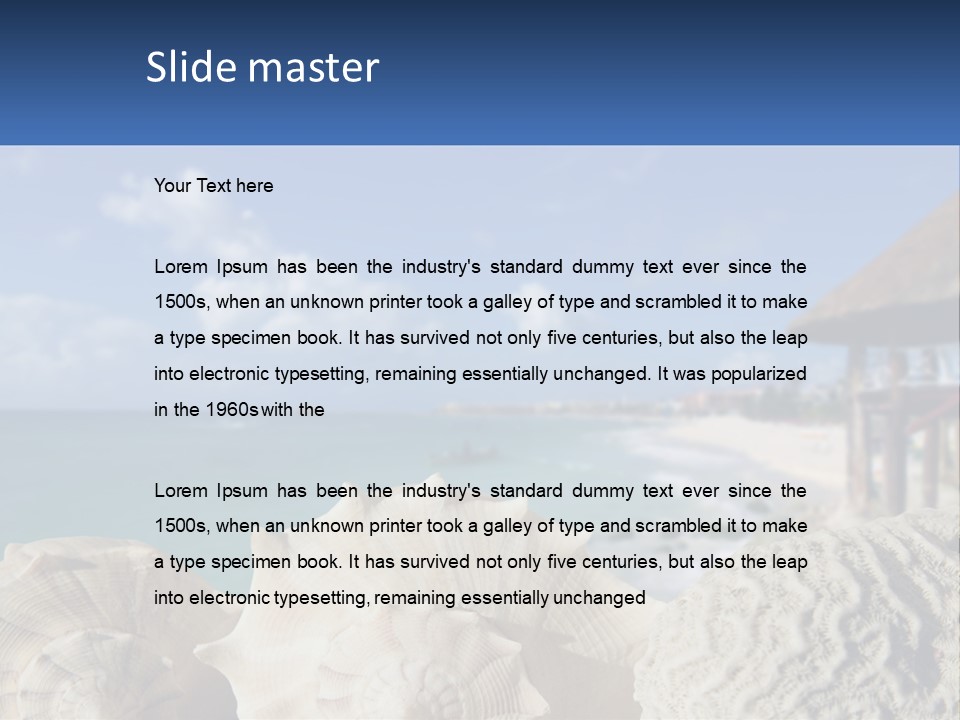 A Group Of Seashells Sitting On A Beach Next To The Ocean PowerPoint Template