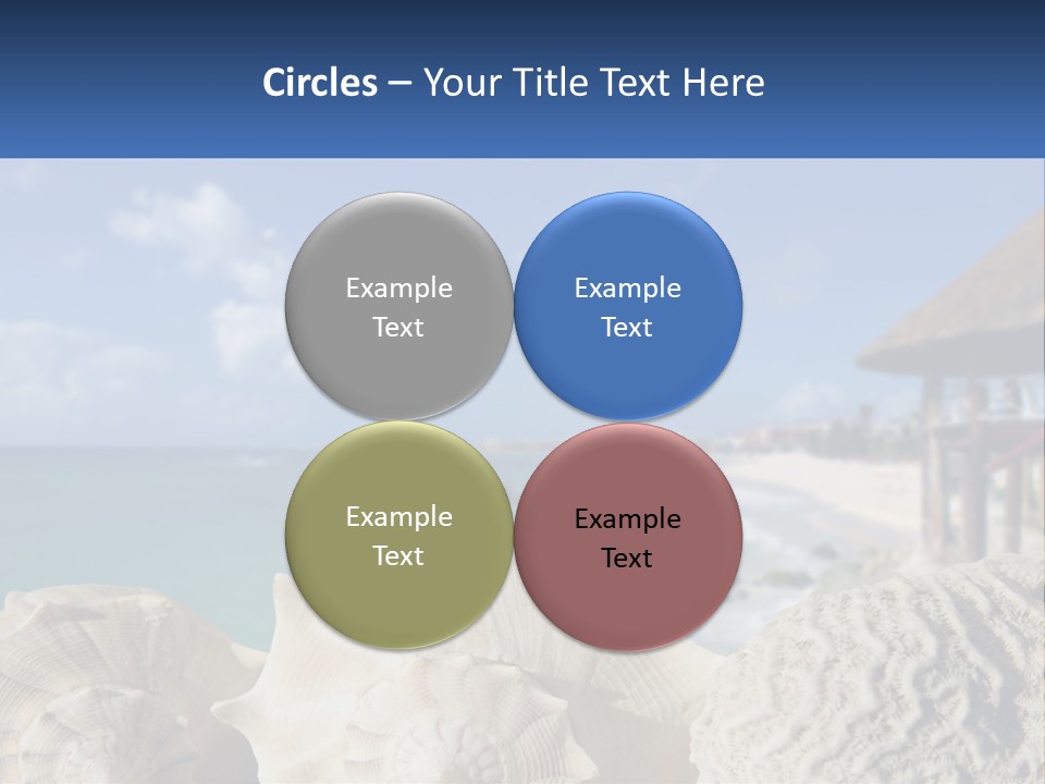 A Group Of Seashells Sitting On A Beach Next To The Ocean PowerPoint Template