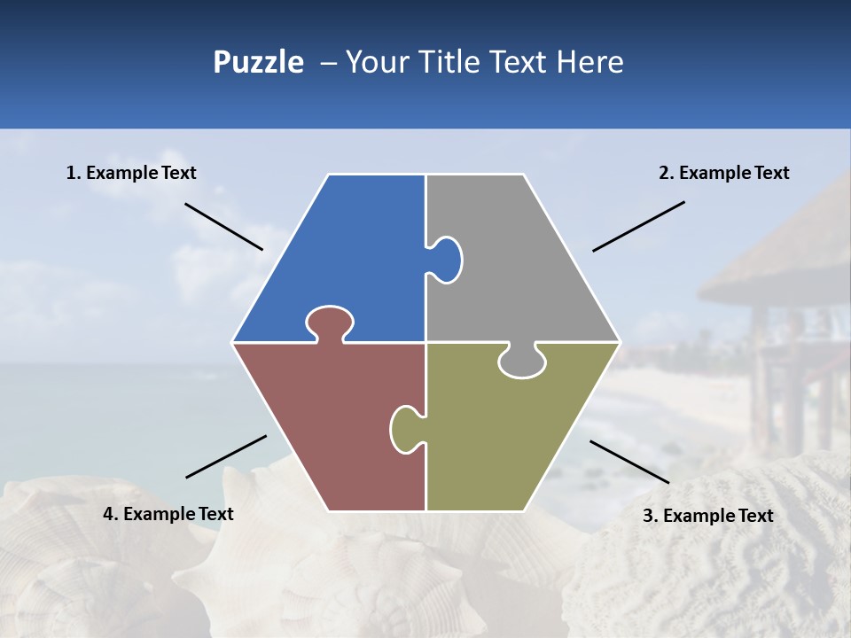 A Group Of Seashells Sitting On A Beach Next To The Ocean PowerPoint Template