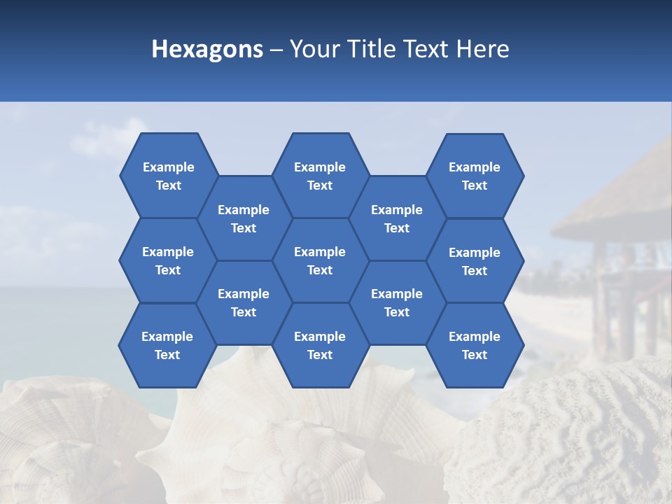 A Group Of Seashells Sitting On A Beach Next To The Ocean PowerPoint Template