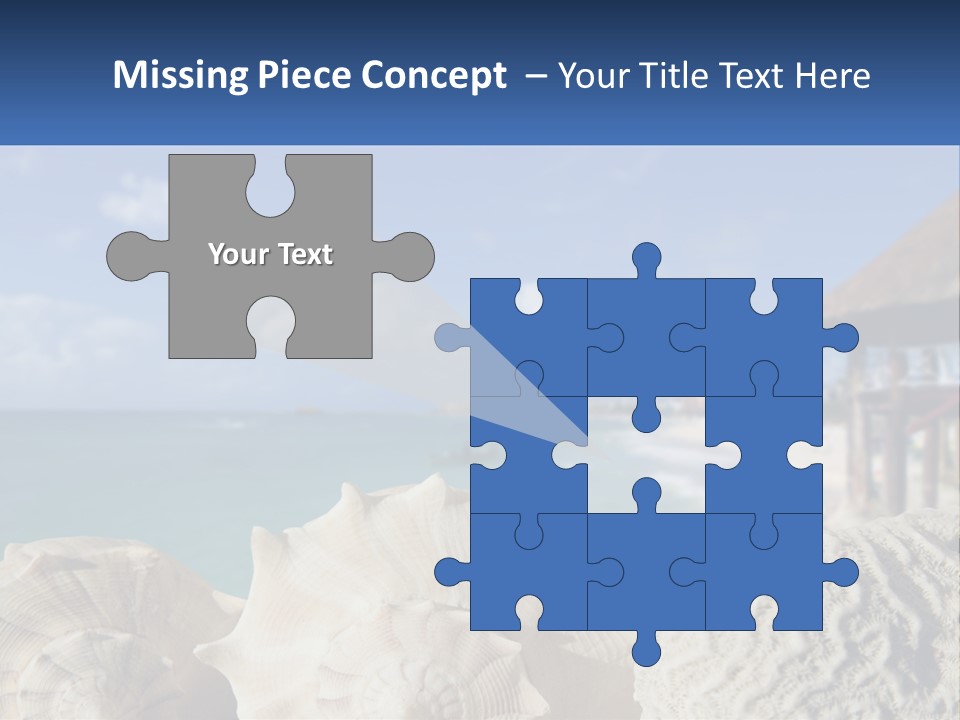 A Group Of Seashells Sitting On A Beach Next To The Ocean PowerPoint Template