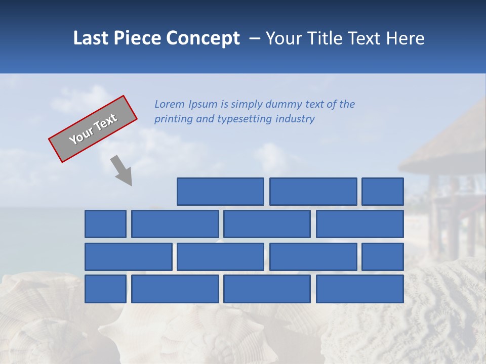 A Group Of Seashells Sitting On A Beach Next To The Ocean PowerPoint Template