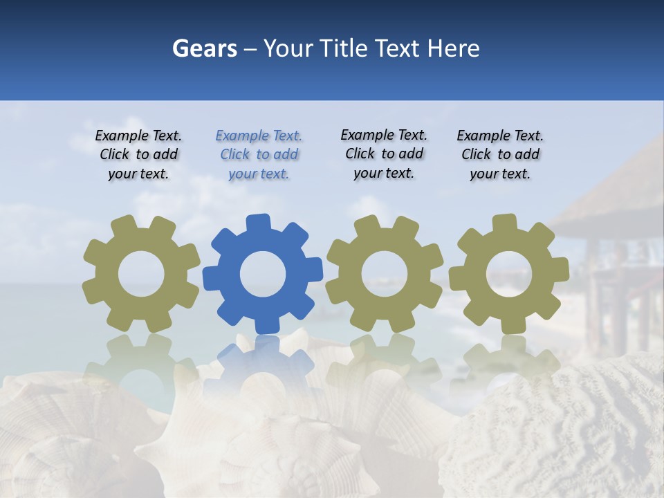 A Group Of Seashells Sitting On A Beach Next To The Ocean PowerPoint Template