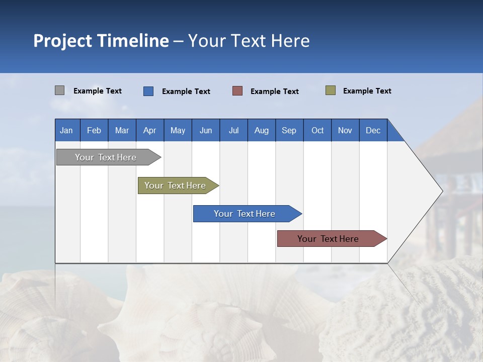 A Group Of Seashells Sitting On A Beach Next To The Ocean PowerPoint Template