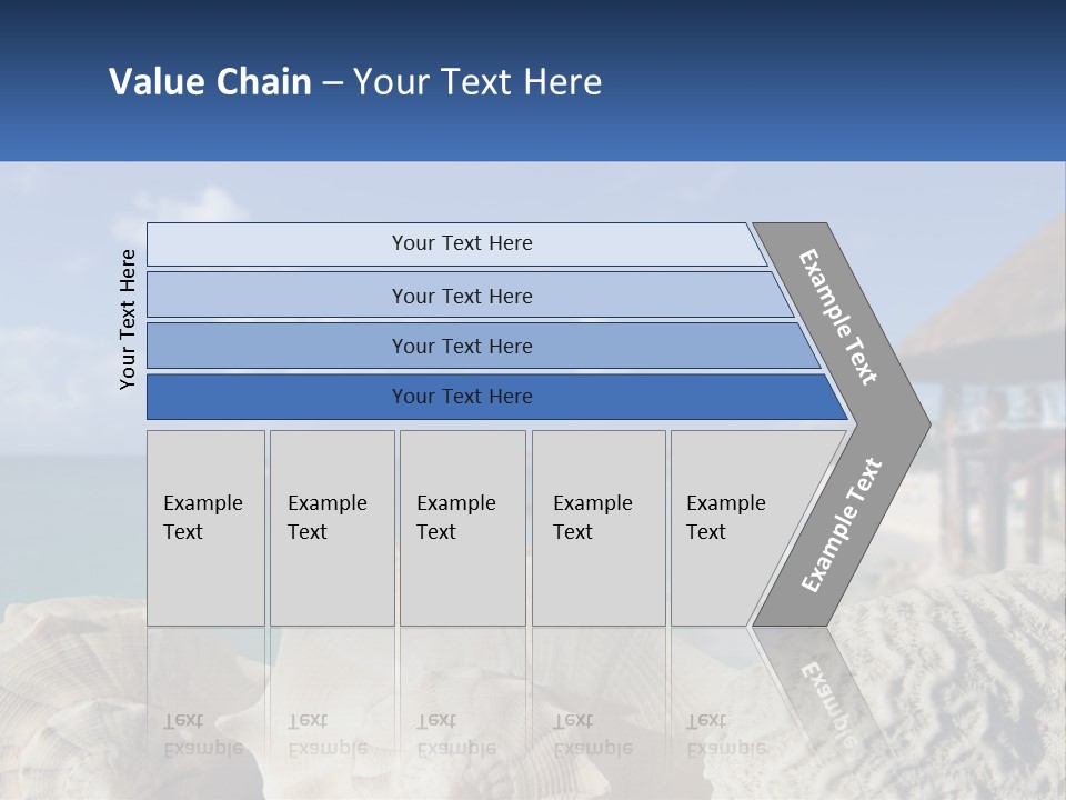 A Group Of Seashells Sitting On A Beach Next To The Ocean PowerPoint Template
