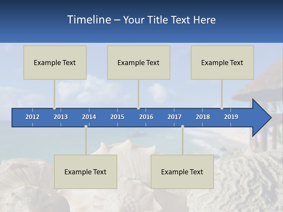 A Group Of Seashells Sitting On A Beach Next To The Ocean PowerPoint Template
