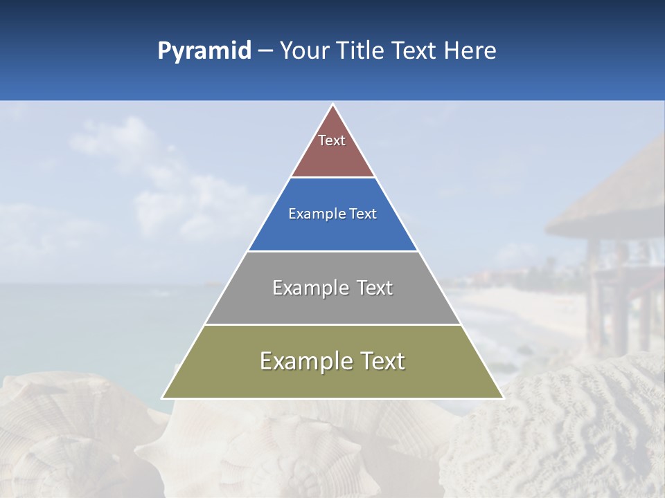 A Group Of Seashells Sitting On A Beach Next To The Ocean PowerPoint Template