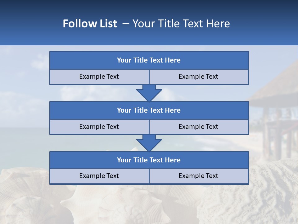 A Group Of Seashells Sitting On A Beach Next To The Ocean PowerPoint Template