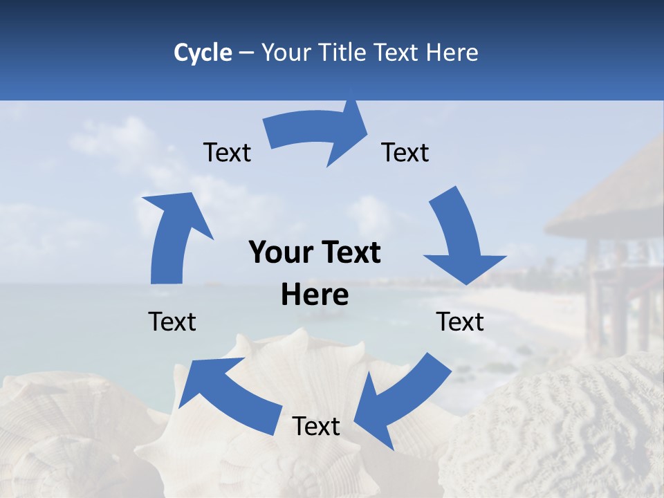 A Group Of Seashells Sitting On A Beach Next To The Ocean PowerPoint Template