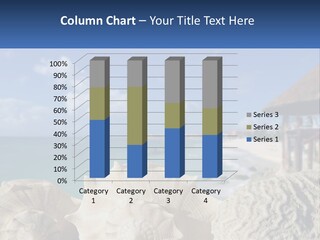 A Group Of Seashells Sitting On A Beach Next To The Ocean PowerPoint Template