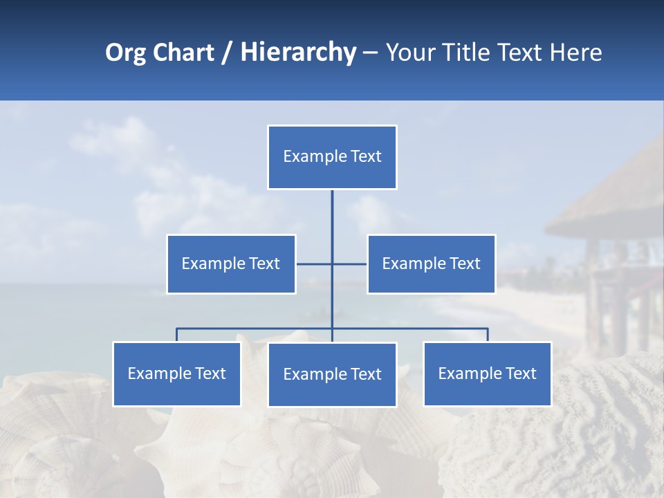 A Group Of Seashells Sitting On A Beach Next To The Ocean PowerPoint Template