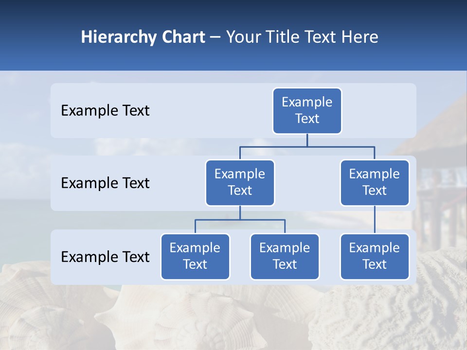 A Group Of Seashells Sitting On A Beach Next To The Ocean PowerPoint Template