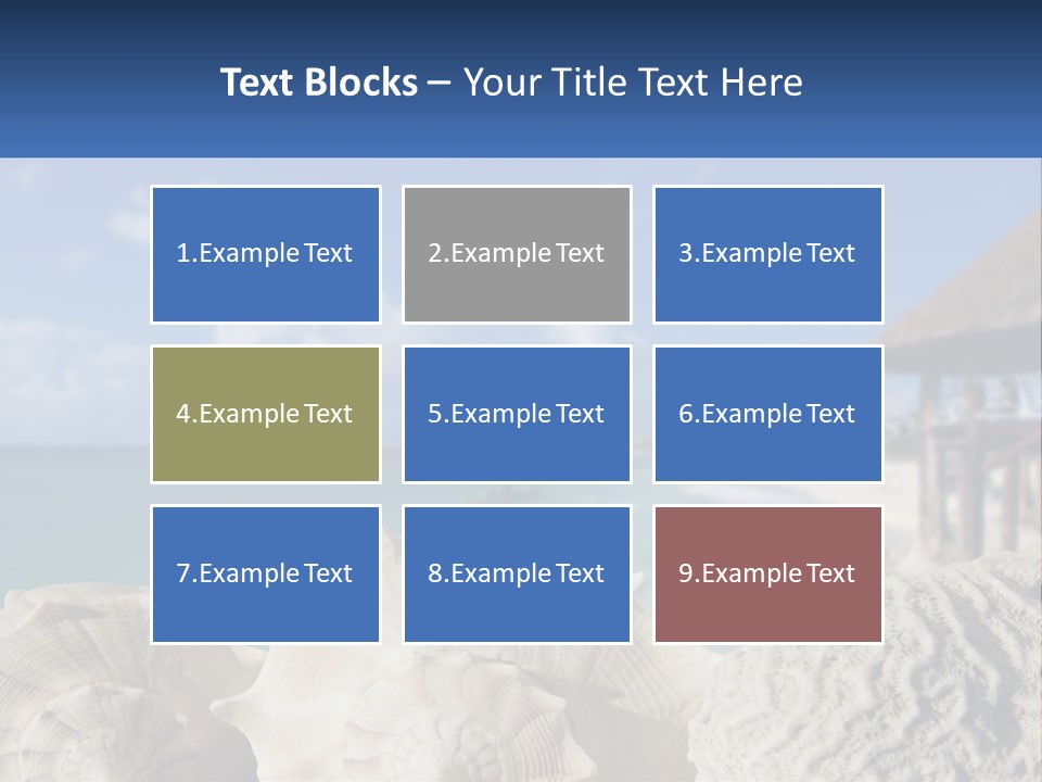 A Group Of Seashells Sitting On A Beach Next To The Ocean PowerPoint Template