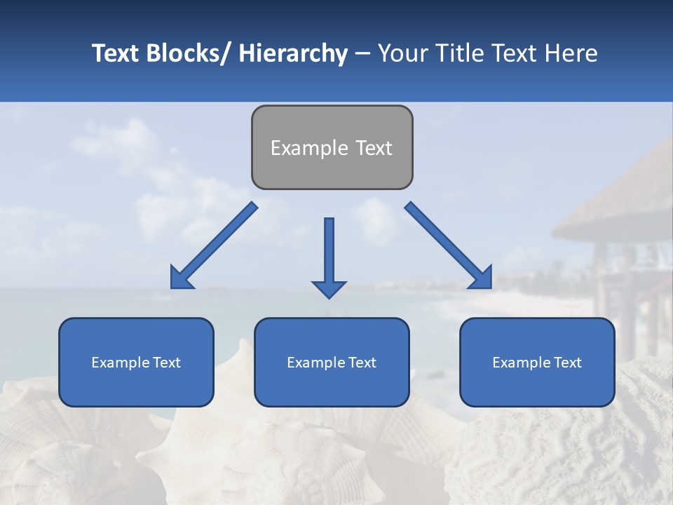 A Group Of Seashells Sitting On A Beach Next To The Ocean PowerPoint Template