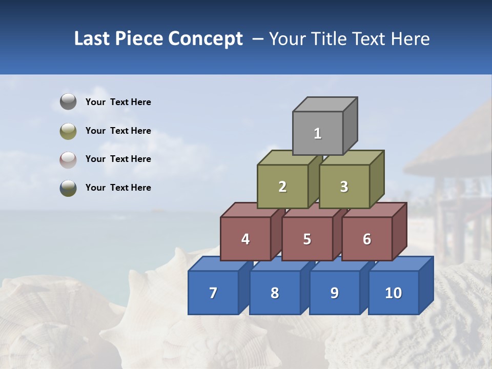 A Group Of Seashells Sitting On A Beach Next To The Ocean PowerPoint Template