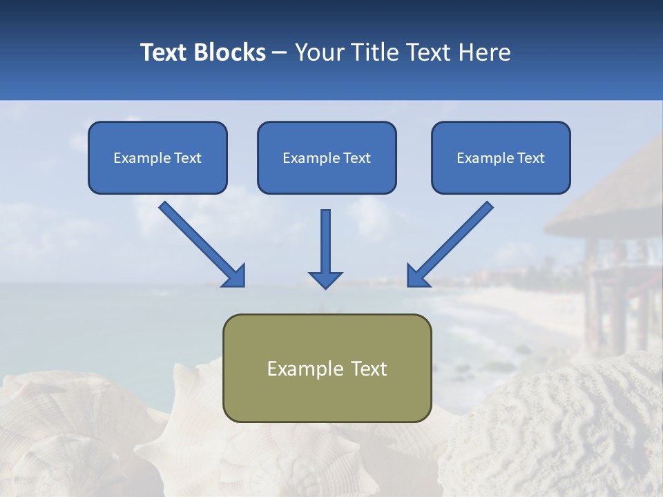 A Group Of Seashells Sitting On A Beach Next To The Ocean PowerPoint Template