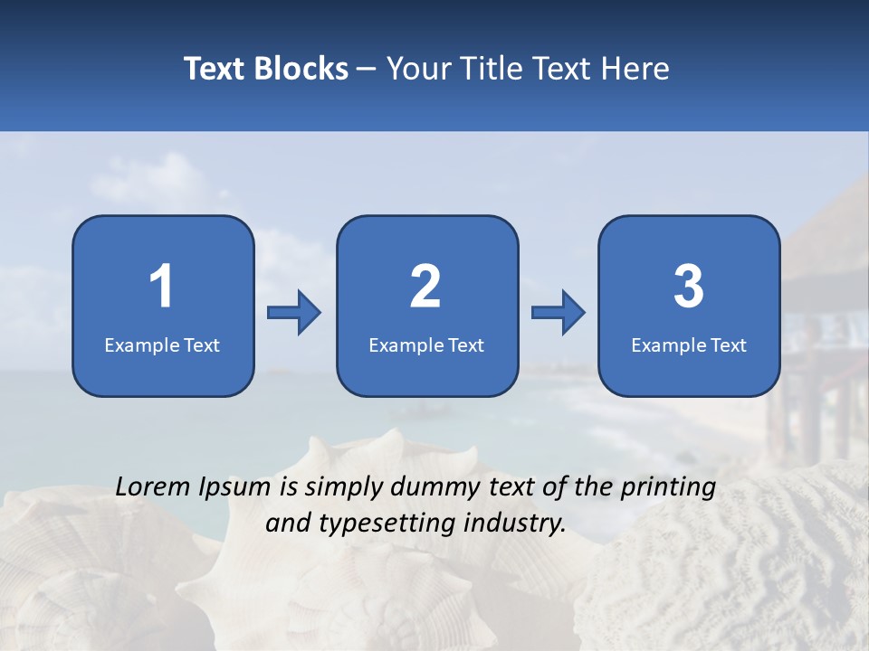 A Group Of Seashells Sitting On A Beach Next To The Ocean PowerPoint Template