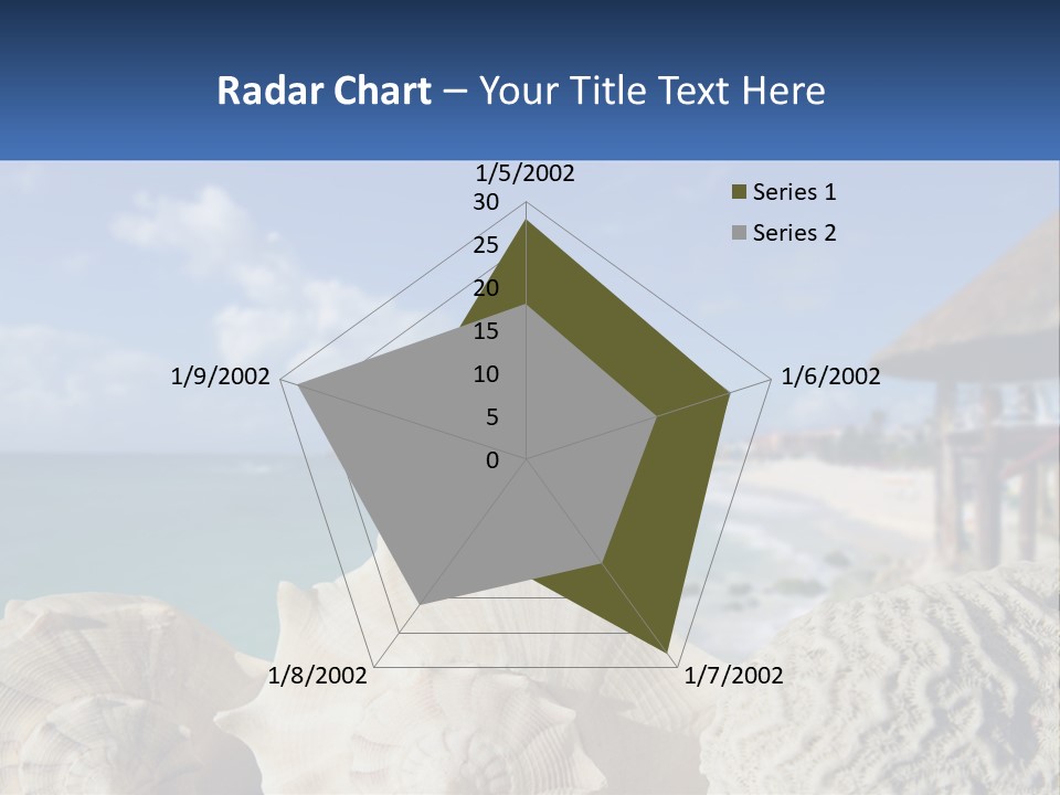 A Group Of Seashells Sitting On A Beach Next To The Ocean PowerPoint Template