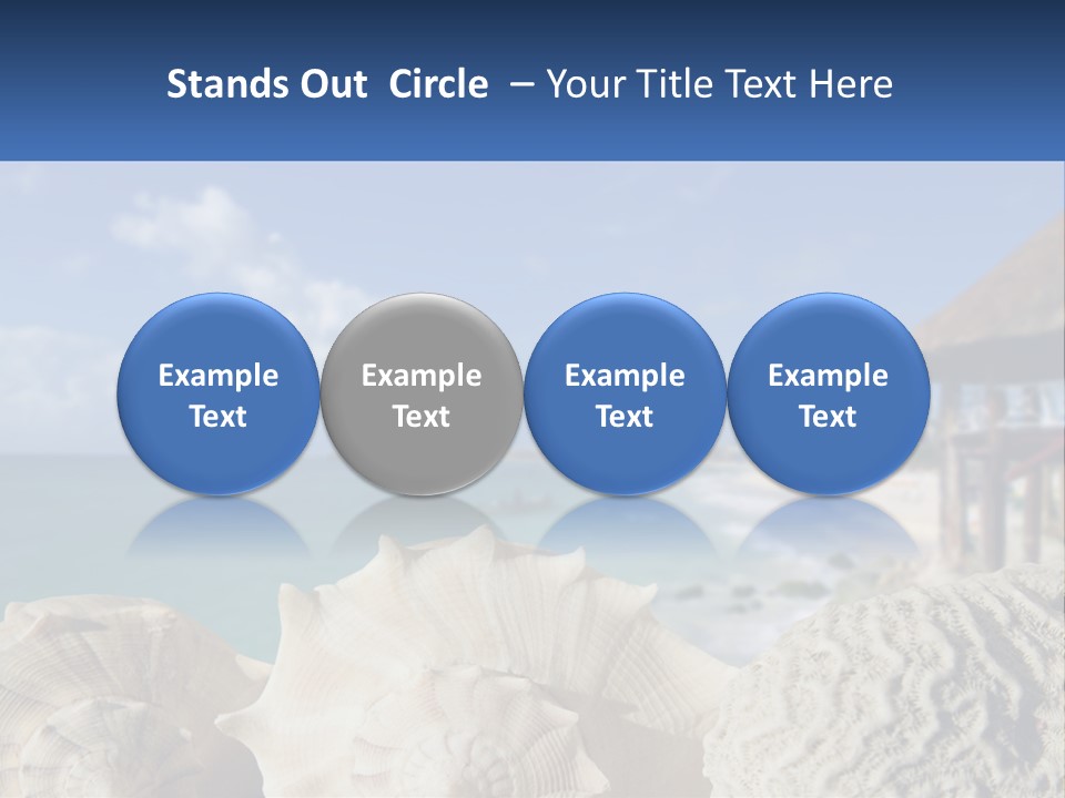 A Group Of Seashells Sitting On A Beach Next To The Ocean PowerPoint Template